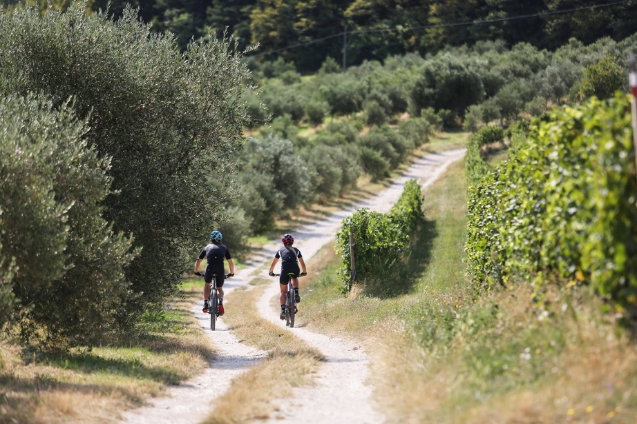 Discover the services dedicated to cyclists at BW Plus Hotel Soave